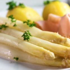 Holsteiner Spargel